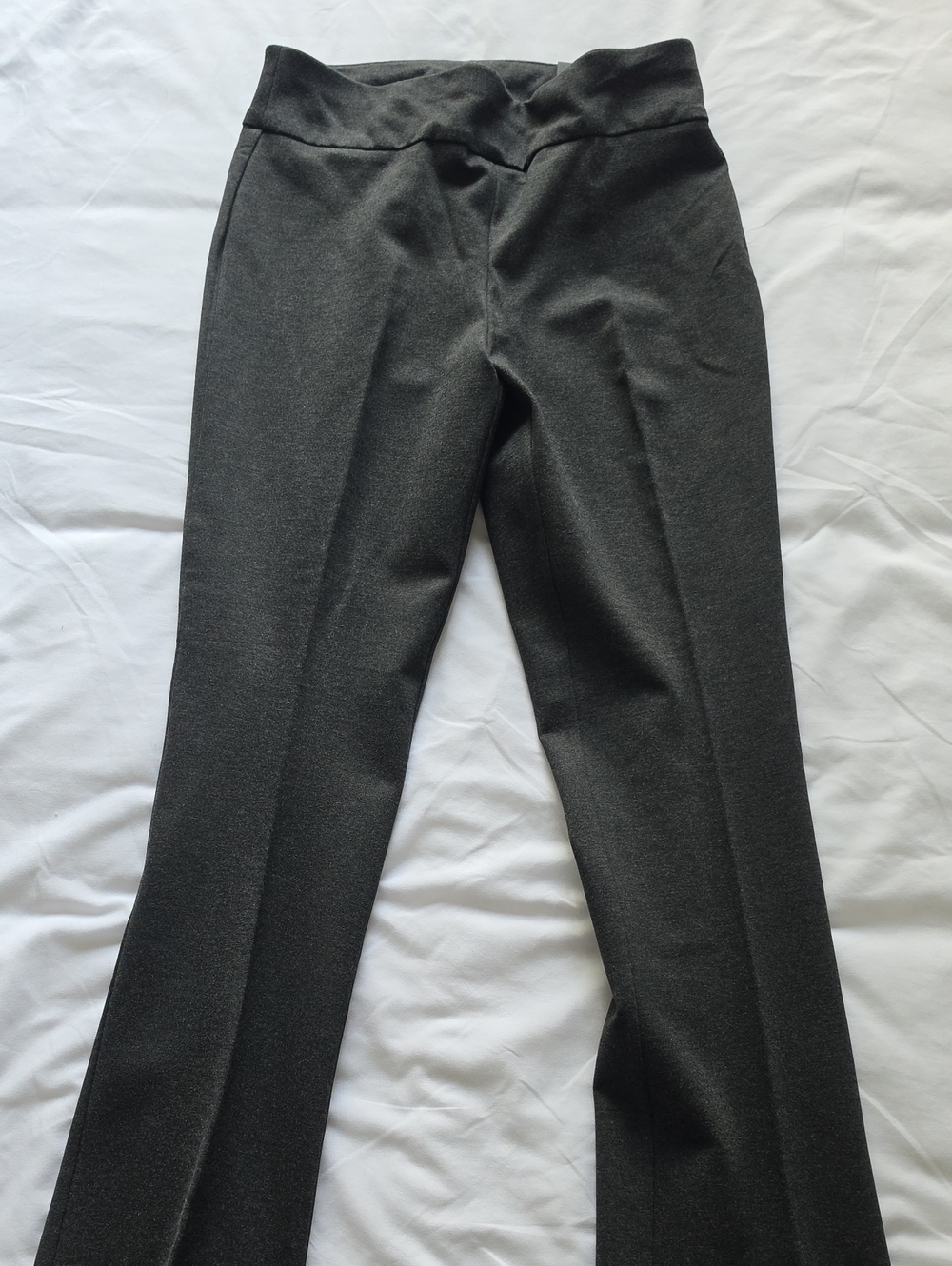 NWT Express Boot High Rise Dress Pants in Dark Gray